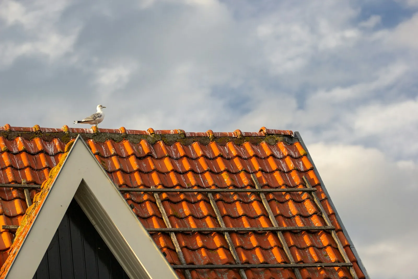 Nadorsisolatie: Kosten, Besparing en Tips 2026